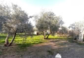 Vil·la amb terreny en venda a la España, Linares, ref.: TR210741 foto