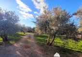 Vil·la amb terreny en venda a la España, Linares, ref.: TR210741 foto