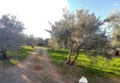 Vil·la amb terreny en venda a la España, Linares, ref.: TR210741 foto