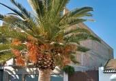 Suelo urbano en venta en la España, Cijuela, ref: TR69728 foto