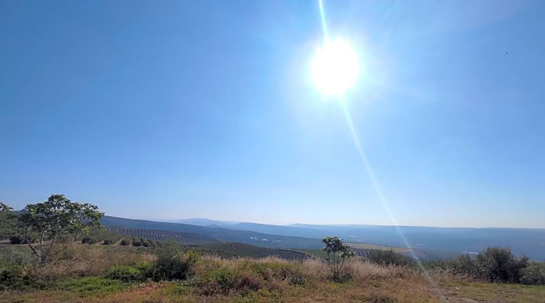 Jaén - Linares - 5000m2