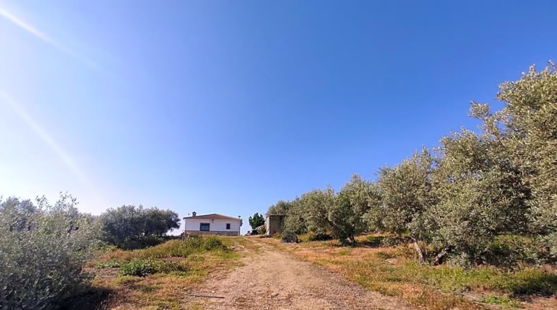 Jaén - Linares - 5000m2