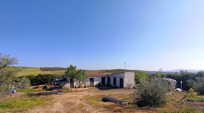Jaén - Linares - 5000m2