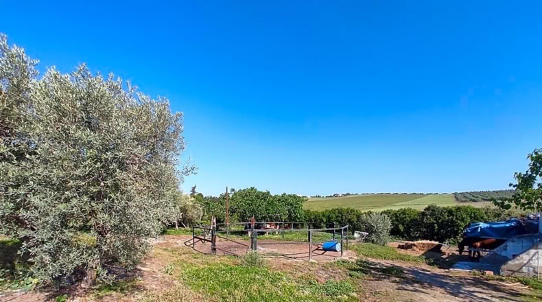 Jaén - Linares - 5000m2