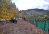 Finca rústica en venda a la España, Benalúa de las Villas, ref.: TR24519 foto