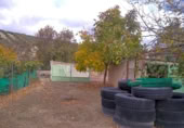 Finca rústica en venda a la España, Benalúa de las Villas, ref.: TR24519 foto