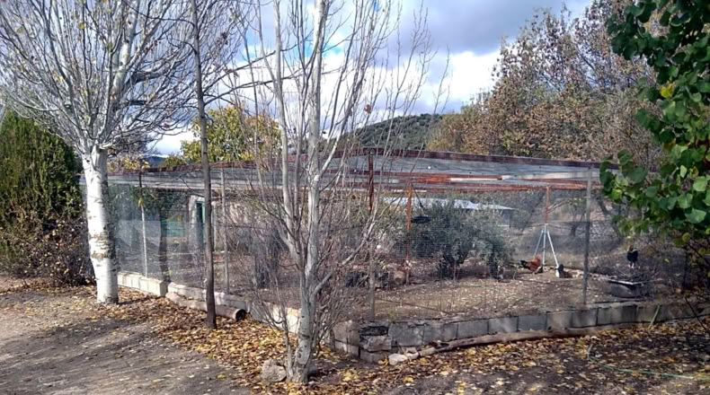 Granada - Benalúa de las Villas - 15000m2