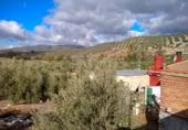 Finca rústica en venda a la España, Benalúa de las Villas, ref.: TR24519 foto