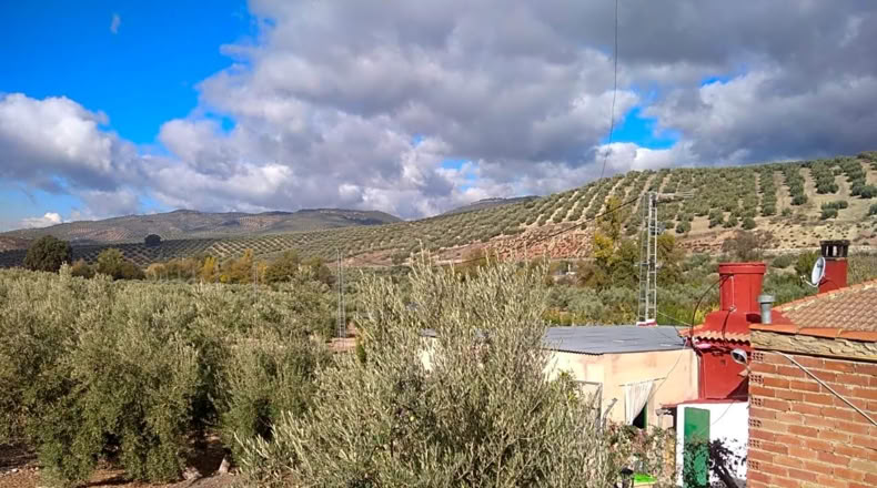 Granada - Benalúa de las Villas - 15000m2