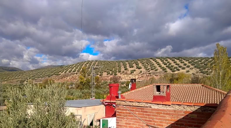 Granada - Benalúa de las Villas - 15000m2
