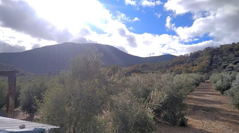 Granada - Benalúa de las Villas - 15000m2