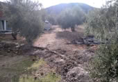 Finca rústica en venda a la España, Benalúa de las Villas, ref.: TR24519 foto
