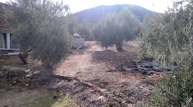 Granada - Benalúa de las Villas - 15000m2
