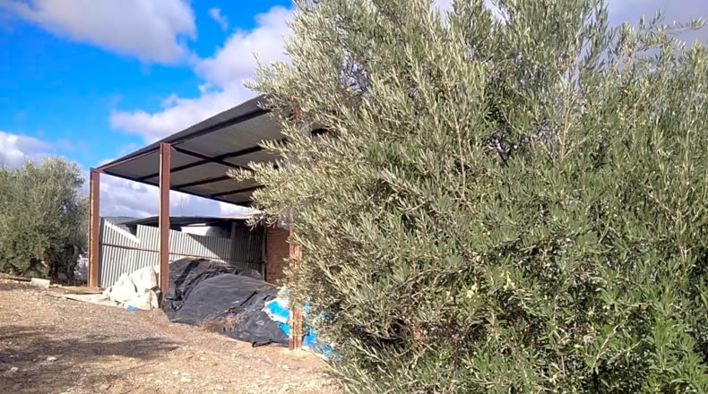 Granada - Benalúa de las Villas - 15000m2