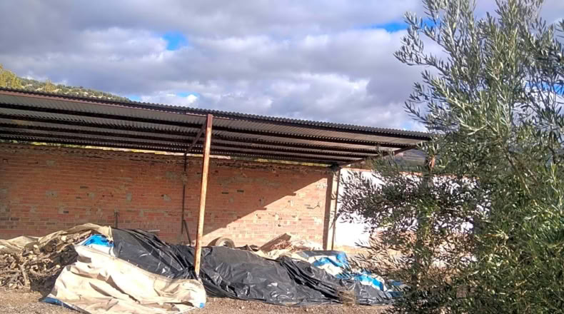 Granada - Benalúa de las Villas - 15000m2