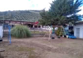 Finca rústica en venda a la España, Benalúa de las Villas, ref.: TR24519 foto
