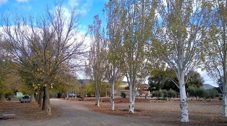 Granada - Benalúa de las Villas - 15000m2