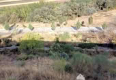 Parcela urbanizable en venta en la España, Atarfe, ref: TR32985 foto