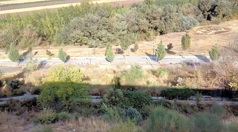 Granada - Albolote - 1905m2