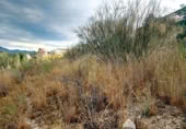 Parcela urbanizable en venta en la España, Atarfe, ref: TR32985 foto