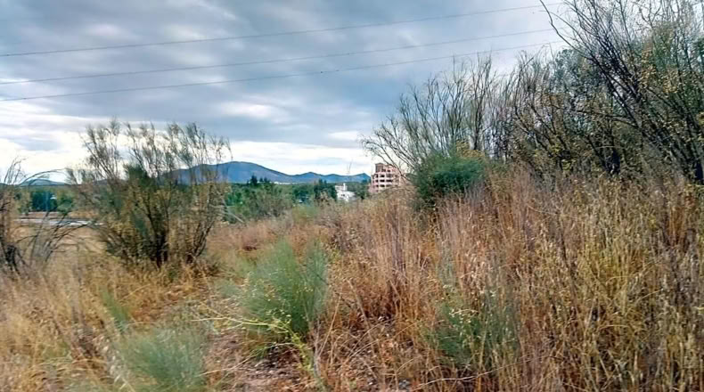 Granada - Albolote - 1905m2