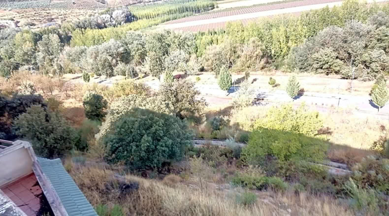 Granada - Albolote - 1905m2