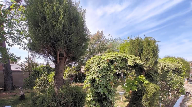 Jaén - Linares - 2300m2