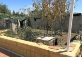 Casa de camp amb terreny en venda a la España, Linares, ref.: TR182543 foto