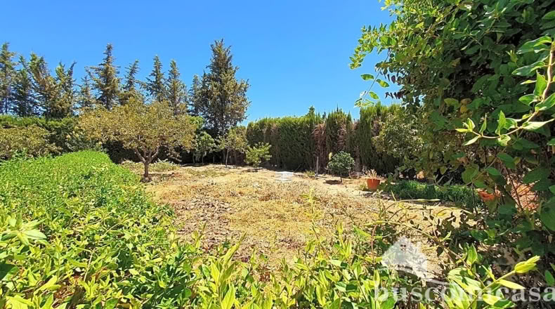 Jaén - Linares - 2000m2