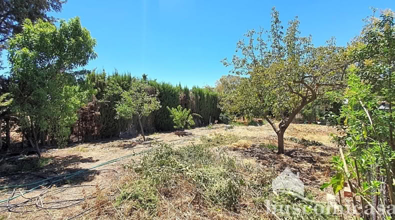 Jaén - Linares - 2000m2