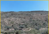 Land suitable for development for sale on España, Ugíjar, ref: TR24444 photo