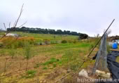 Semi-detached house with land for sale on España, Rus, ref: TR24377 photo