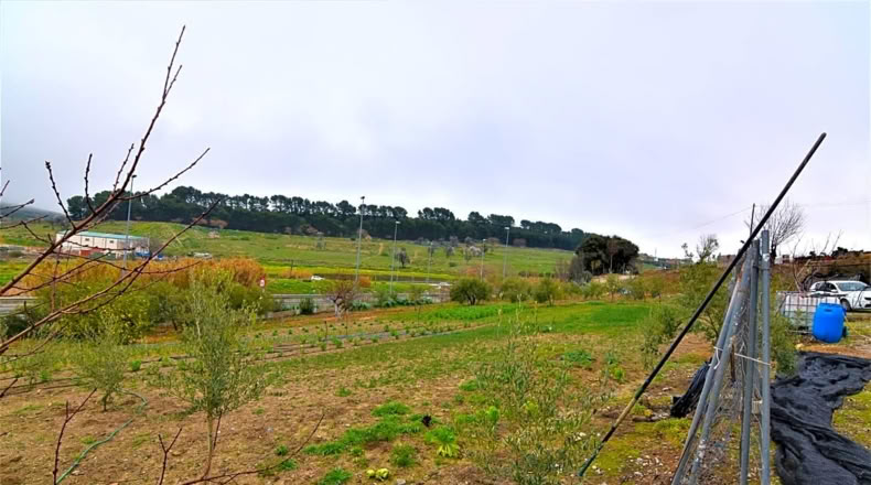 Jaén - Rus - 3810m2
