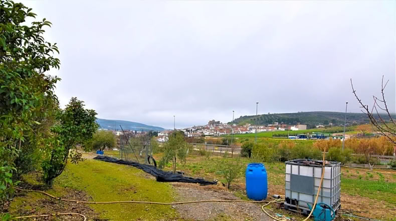 Jaén - Rus - 3810m2