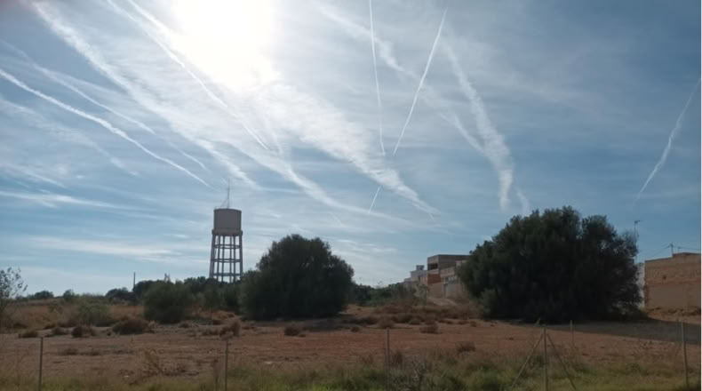 Valencia - Picasent - 1598m2