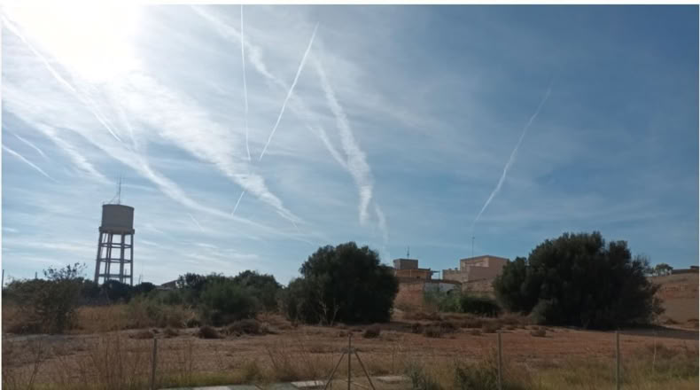 Valencia - Picasent - 1598m2