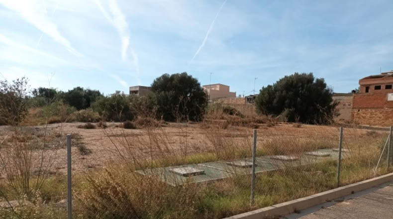 Valencia - Picasent - 1598m2