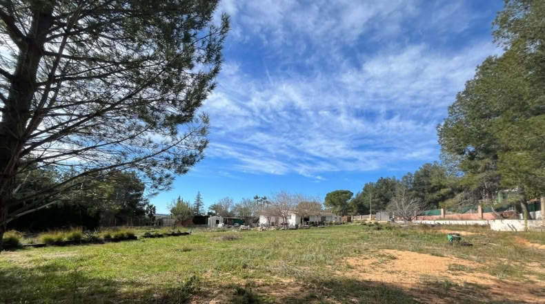 Valencia - Torrent - 3813m2