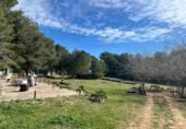 Villa con terreno en venta en la España, Godelleta, ref: TR369162 foto
