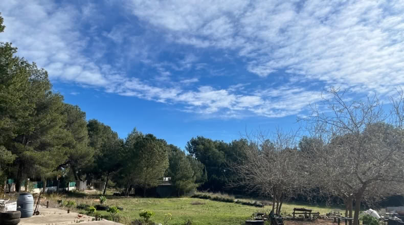Valencia - Torrent - 3813m2