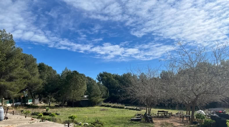 Valencia - Torrent - 3813m2