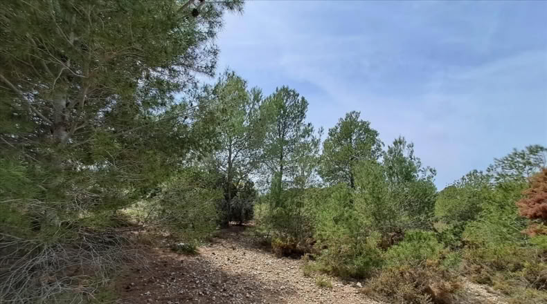 Valencia - Bétera - 6293m2