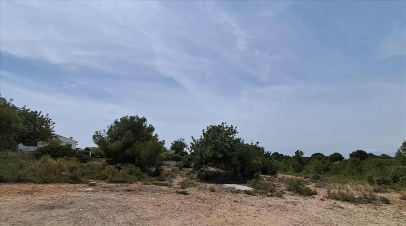 Valencia - Bétera - 6293m2