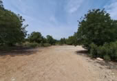 Parcela urbanizable en venta en la España, Bétera, ref: TR232526 foto