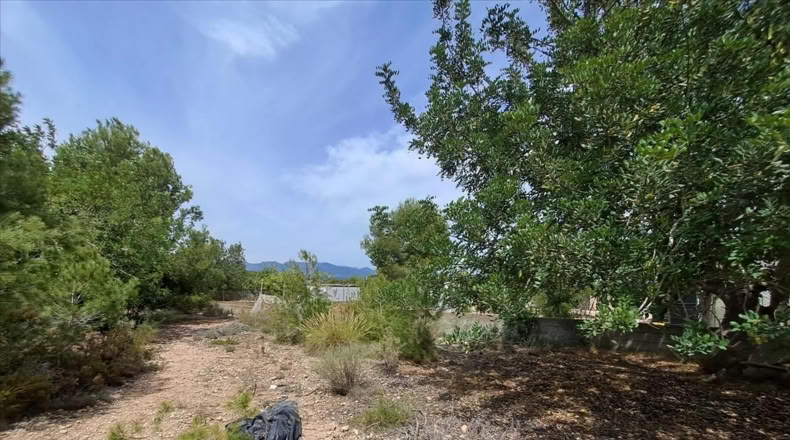 Valencia - Bétera - 6293m2