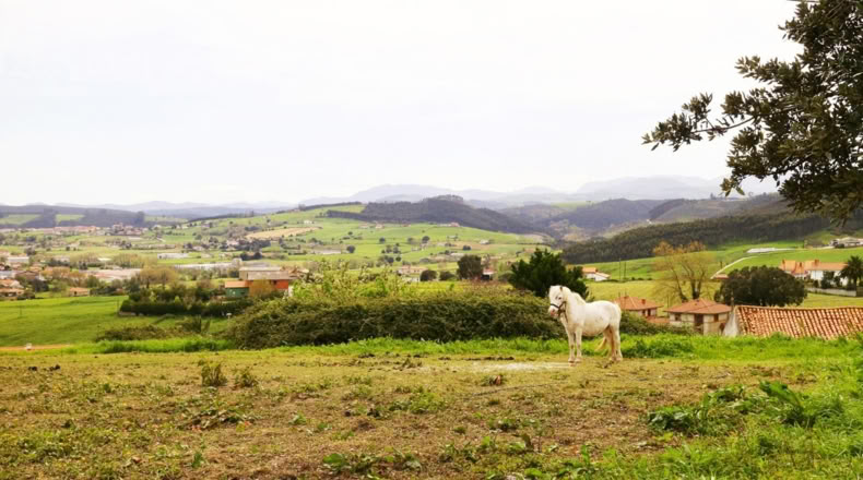 Cantabria - Bareyo - 4087m2