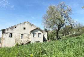 Foto 11