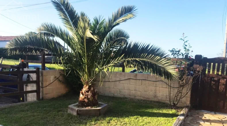 Cantabria - San Vicente de la Barquera - 332m2