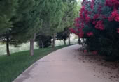 Finca rústica en venda a la España, Penàguila, ref.: TR91179 foto