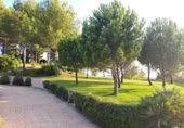 Finca rústica en venda a la España, Penàguila, ref.: TR91179 foto